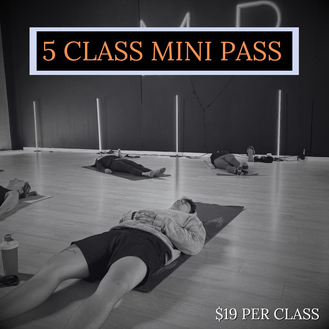 5 CLASS MINI PASS
